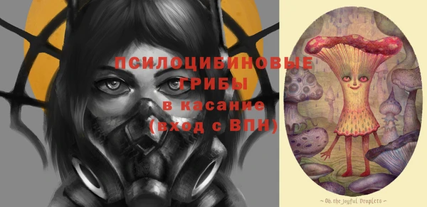 МДПВ Абинск